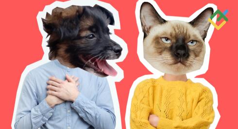 Co powinienem zrobić, jeśli broker mnie skrzywdził?