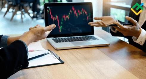 Anti-Turtles – formacja dla każdego temperamentu!