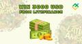 Lucky Ticket Draw launched in LATAM countries
