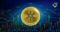 STR Cryptocurrency Trading to Cease