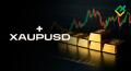 LiteFinance Menambahkan Aset Perdagangan Baru XAUPUSD